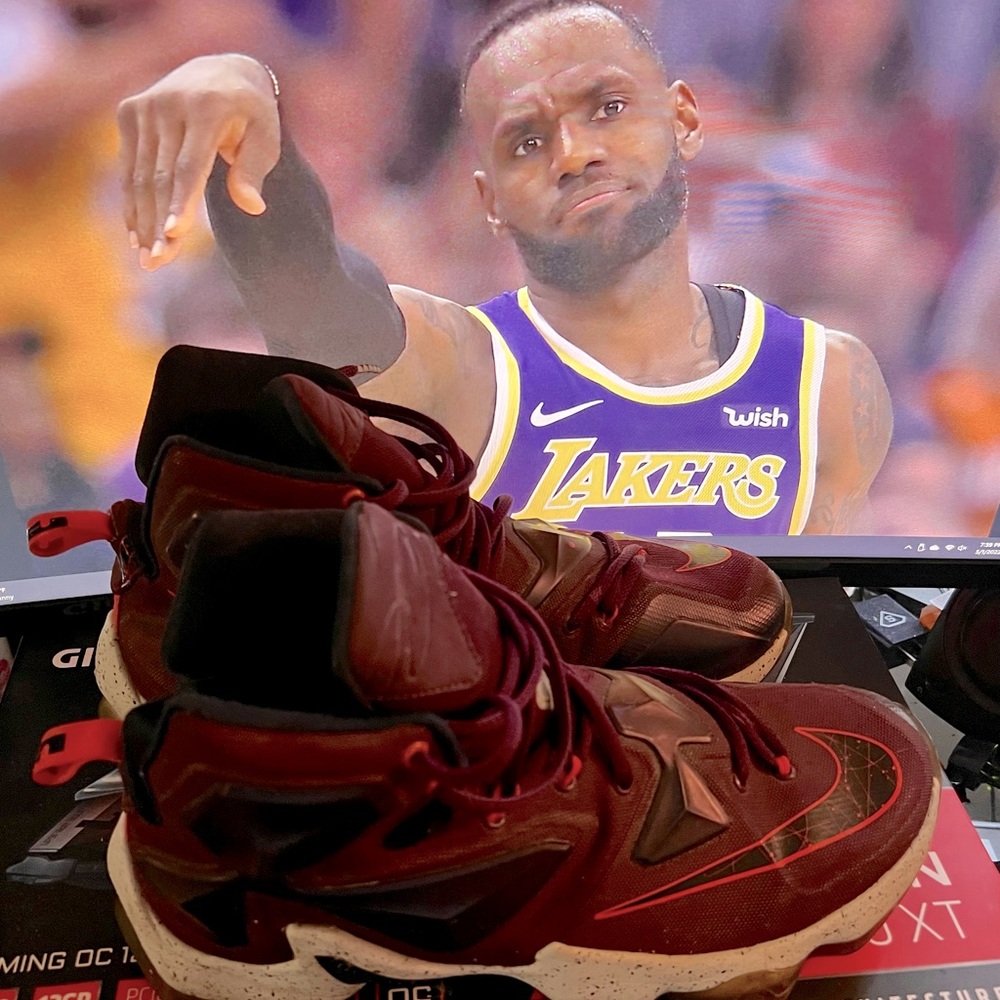 LeBron 13s